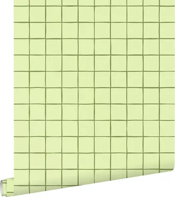 Obrázek produktu pro ESTAhome tapeta kostkovaný vzor zelená 50 x 900 cm