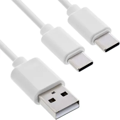 Image de InLine® Câble de charge USB 2en1 en Y, 1x USB-A mâle à 2x USB-C mâle, blanc, 1m