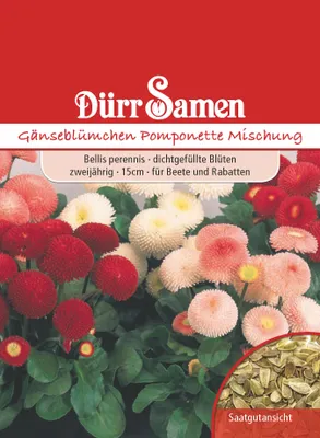 Produktbild von Gänseblümchen Pomponette Mischung | Gänseblümchensamen von Dürr Samen