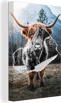 Produktbild von OneMillionCanvasses® - Leinwandbilder - 90x140 cm, Scottish Hochlandrind - Schwarz - Weiß, Wandbilder Wohnzimmer Hochland Rind - Tier Wanddekoration - Hochland Rind - Kuh - Gemälde auf Holzrahmen  - Wandschmucke - Schlafzimmer