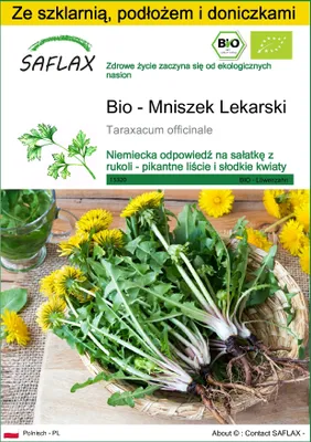 Zdjęcie produktu dla SAFLAX - Zestaw do uprawy - Bio - Mniszek Lekarski - 400 Nasiona - Z mini szklarnią, podłożem uprawowym i 2 doniczkami - Taraxacum officinale