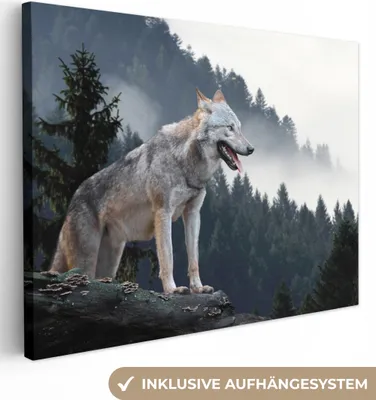 Obrázok produktu pre MuchoWow® - Plátno - Vlk - Zviera - Les, nástenná maľba, nástenné dekorácie obrazy obývacia izba, 80x60cm