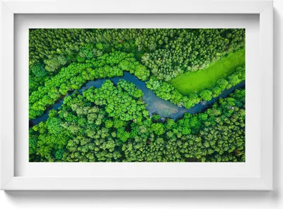 Produktbild von Wald und Fluss aus der Vogelperspektive– Wandbild mit Rahmen – Gerahmtes Bild  – Wanddekoration – 30x20 cm –  Weiß Rahmen