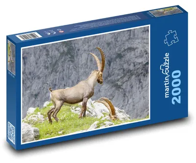 Obrázek produktu pro Puzzle 2000 Kozorožec na skalnaté hoře - martinpuzzle