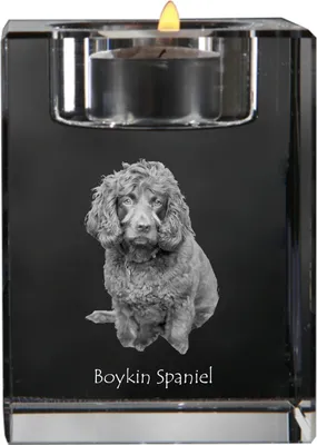 Produktbild von Boykin Spaniel - Kerzenhalter mit Hundefoto, Teelichthalter aus Kristall, personalisiertes Geschenk der Marke Art-Dog