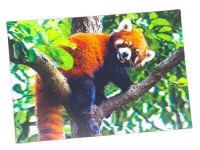 Produktbild von 3 D Ansichtskarte roter Panda, Postkarte Wackelkarte Hologrammkarte Tiere Tier