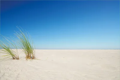 Produktbild von Wallario Premium Vliestapete Fototapete Sandstrand unter blauem Himmel in der Größe 400 x 267 cm, extra dick, wird in 5 Teilen geliefert
