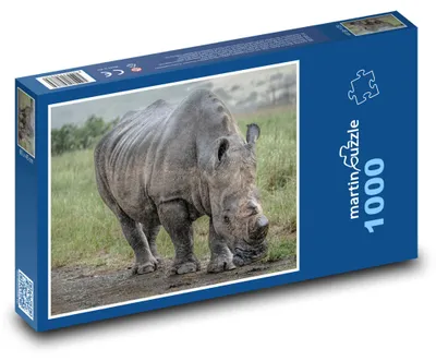 Obrázek produktu pro Puzzle 1000 Nosorožec v divočině - martinpuzzle