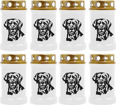Produktbild von Grabkerze Weiß 8er Pack, Brenndauer: 40 Stunden ( je Kerze ), Motiv: Labrador