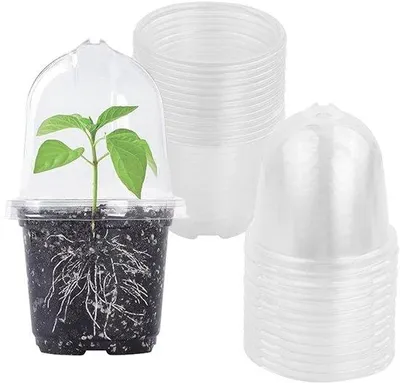 Productafbeelding van Kweekpotten 12 stuks - Vochtkoepel - 9 cm - Kunststof - Ronde Plantenpotten - Duurzaam Materiaal - Lichtgewicht
