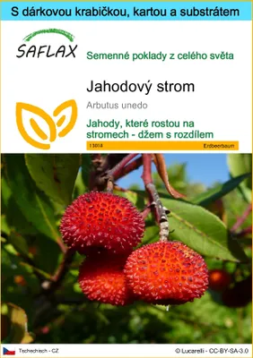 Obrázek produktu pro SAFLAX Dárková sada - jahodový strom - Arbutus unedo - 50 Semena - S dárkovou krabičkou, přepravním štítkem, dárkovou kartou a pěstebním médiem