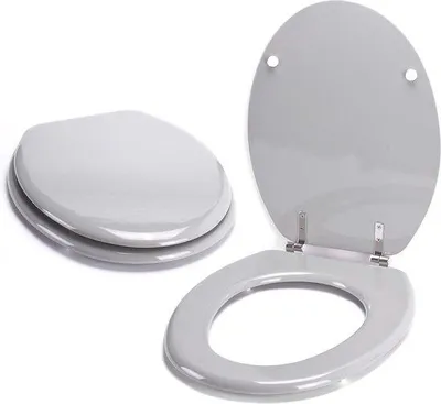 Produktbild von Famanu WC-Sitz Grau - Hochwertiger Duroplast mit Schnellverschluss