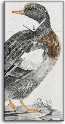 Produktbild von Leinwand Uhr Küche Wohnzimmer Bild 30x60 Zeichnung Tier Vogel Ente Kunst - weiße Hände