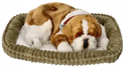 Produktbild von Perfect Petzzz 96248 Bulldogge