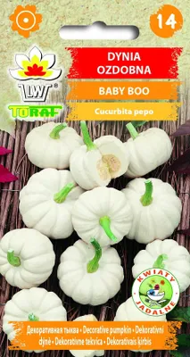 Produktbild von BABY BOO Zierkürbis 2g