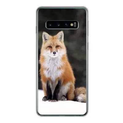 Produktbild von MuchoWow® Handyhülle Schutzhülle Hülle für Samsung Galaxy S10 Fuchs - Schnee - Rot Silikon Softcase Handy Hülle - Handytasche