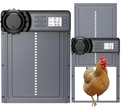 Automatische Hühnerstalltür, Timer, Alu, grau, batteriebetrieben
