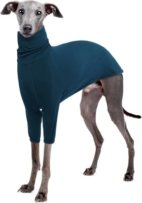 Zdjęcie produktu dla Sweter dla psa - Długość grzbietu: 58 cm - Polar - Wyściełany - Oddychający