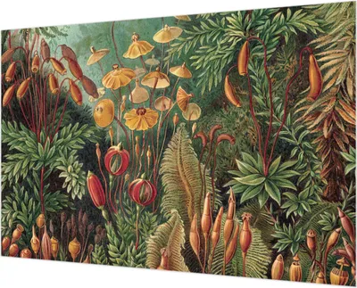 Zdjęcie produktu dla Tapeta ścienna – tapeta dekoracyjna do salonu – folia tapetowa do dekoracji ścian – 152 x 104 cm – Egzotyczny ogród