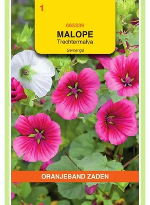 Produktbild von Oranjeband Malope Trifida Grandiflora Mischung - 1 Packung Saatgut