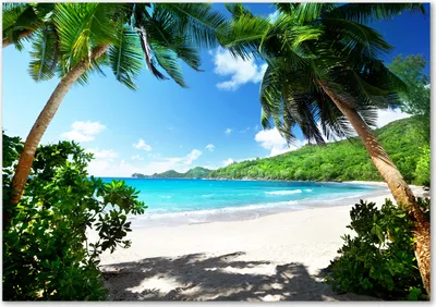 Produktbild von Tulup® Glas-Bild - 100 x 70 - Wandbild aus Glas - Wandkunst - Wandbild hinter gehärtetem Sicherheitsglas - Landschaften - Seychellen Strand - Grün