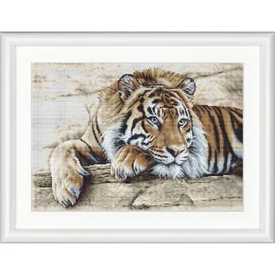 Produktbild von Thea Gouverr Kreuzstich Stickpackung "Tiger Aida", Zählmuster, 44x33cm