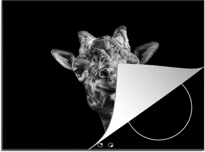 Produktbild von KitchenYeah© Herdabdeckplatte Giraffe vor schwarzem Hintergrund in schwarz und weiß , 58x51cm, Küche Deko, Glaskeramikkochfeld Herdabdeckung, Abdeckplatte fùr Kochfeld