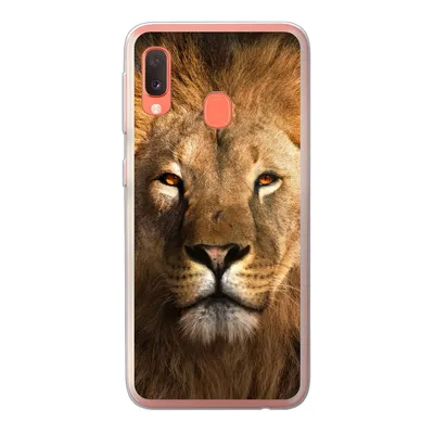 Produktbild von MuchoWow® Handyhülle Schutzhülle Hülle für Samsung Galaxy A20e Löwe - Tiere - Schwarz - Hell - Braun - Porträt Silikon Softcase Handy Hülle - Abdeckung