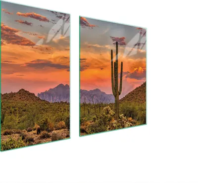 Produktbild von Herdabdeckplatten 2 teilig 100x52 Glaskeramikkochfeld Abdeckung Glas Schneidebrett Landschaft Kaktus