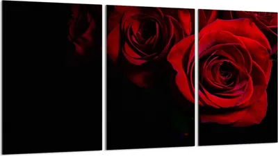 Produktbild von Glasschutzplatte für Herd 3x30x52
