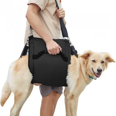 Immagine prodotto di INF Imbracatura di Supporto Posteriore per Cani — Imbracatura in tessuto Oxford con Impugnatura Manuale per Mobilità per Cani Anziani e Disabili, Taglie M/L/XL M