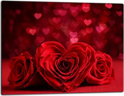 Image de Planche à découper en verre Plaque de recouvrement pour cuisinière Vitrocéramiquefeld Universal 52x40 cm Rose