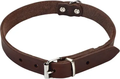Immagine prodotto di Beeztees - Collare per cani - pelle - marrone - 37,5-46,5 cm x 20 mm