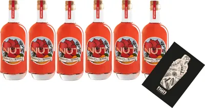 Produktbild von NUT 6er Set Infused Gin Hibiscus Orange 6x 0,7L (40% Vol) Hibiskus Orange Gin NUT Distillery- [Enthält Sulfite]