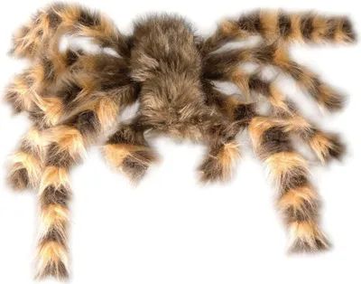 Produktbild von Jumbo Spinne Tarantula 75 cm - Vogelspinne