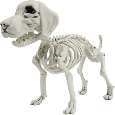 Obrázok produktu pre Dekorácia kostry psa na Halloween 26cm -