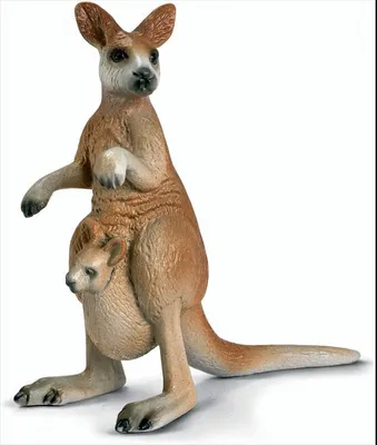 Image de SCHLEICH 14174 - Kangourou