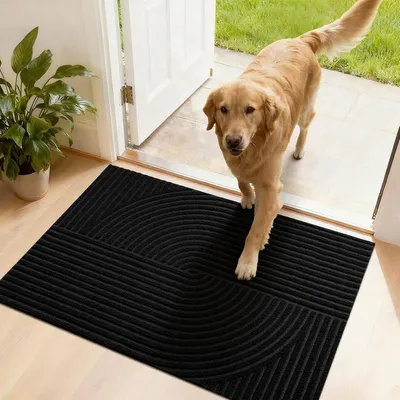 Produktbild von Fußmatte 50 x 80 cm, schwarz, rutschfest, waschbar, Schmutzfangmatte, für Eingang