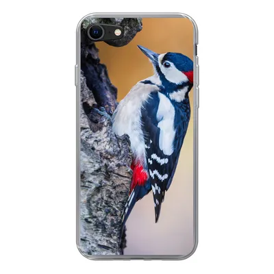 Produktbild von MuchoWow® Handyhülle Schutzhülle Hülle für iPhone SE 2020 Nahaufnahme eines Buntspechts auf einem Baumstamm Silikon Softcase Handy Hülle - Kartenbesitzer