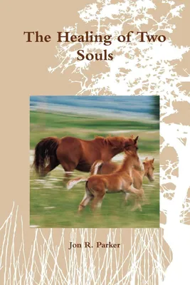 Produktbild von The Healing of Two Souls