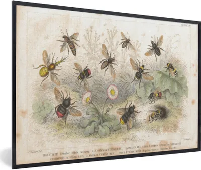 Produktbild von MuchoWow® Gerahmtes Poster Eine Illustration einer Gruppe von Bienen 90x60 cm - Poster mit Schwarzem Bilderrahmen Wandposter Rahmen Foto Bilder - Fotorahmen - Foto-Plakat
