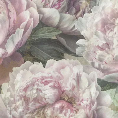 Produktbild von Fototapete 2552N-81 Digitaldruck Blumen Floral 1.5 x 2.7 m Erismann Fashion for Walls digital Rosa