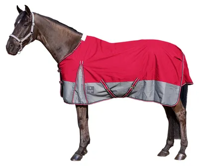 Produktbild von EQuest Outdoordecke Rainmaster 0g, Regendecke für Pferde, Rot/Grau - M / 135 cm