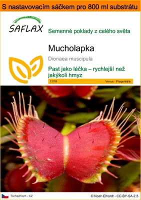 Obrázek produktu pro SAFLAX Garden in the bag - Mucholapka - Dionaea muscipula - 10 Semena - S pěstebním substrátem v praktickém samovztyčovacím sáčku