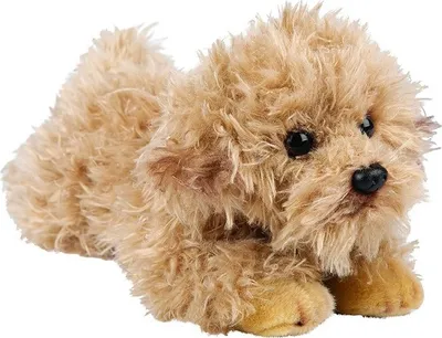 Produktbild von Suki 12149 Labradoodle Hund liegend 30 cm Kuscheltier Kollektion von Suki