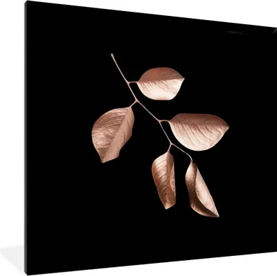 Produktbild von MuchoWow® MuchoWow® Gerahmtes Poster Rosa - Blatt - Gold 40x40 cm - Poster mit zchwarzem Bilderrahmen - Mit Rahmen - Wanddekoration Schlafzimmer