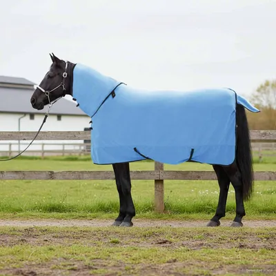 Produktbild von Möbel Pferdedecke Volles Aqua 145 cm Polyester - Pferdedecken &46155