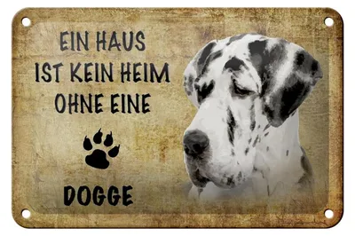 Produktbild von Blechschild Spruch 18x12cm Dogge Hund ohne kein Heim