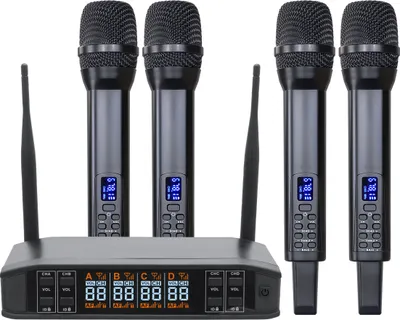 Image de INF Système de microphone sans fil