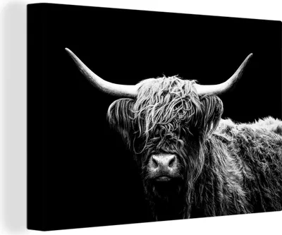 Produktbild von OneMillionCanvasses® - Leinwandbilder - 150x100 cm, Schottisches Hochlandrind - Kuh - Schwarz - Weiß - Tiere, Wandbilder Kunstdruck Wanddekoration - Foto auf Leinwand - Gemälde auf